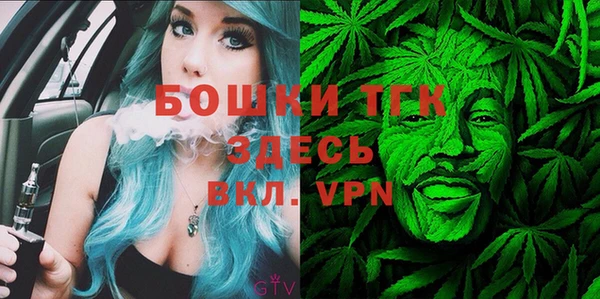 дживик Пересвет
