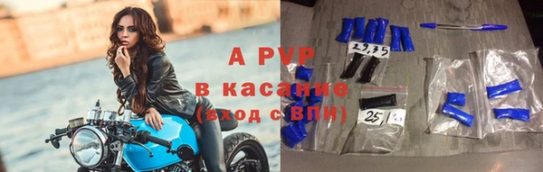 дживик Пересвет