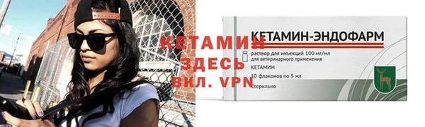 дживик Пересвет