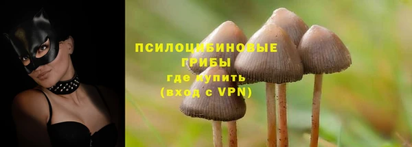 дживик Пересвет