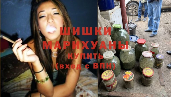 дживик Пересвет