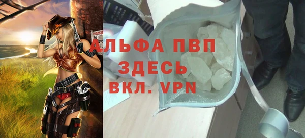 дживик Пересвет