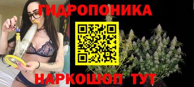 прущая мука Будённовск