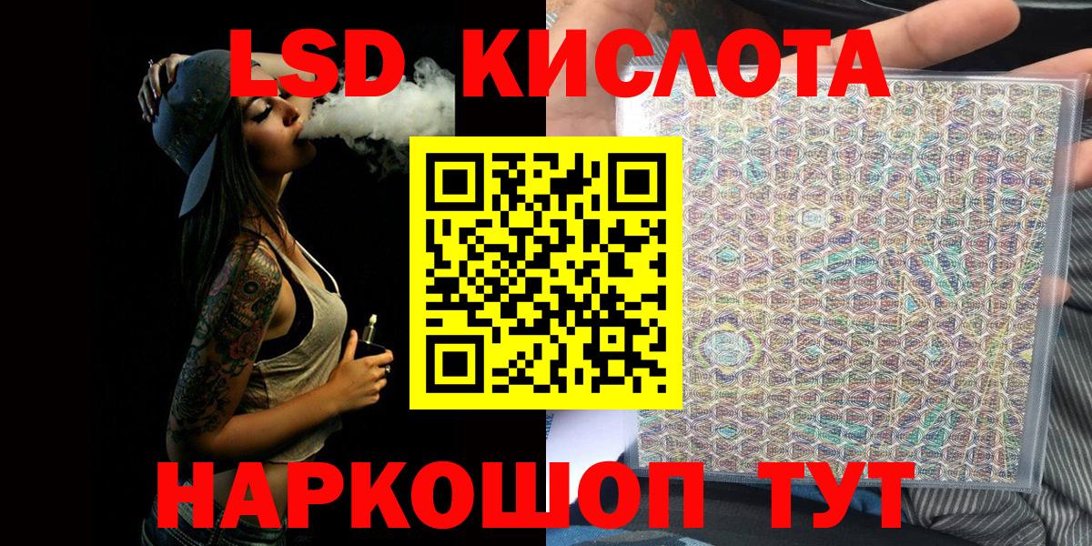 A PVP Новороссийск