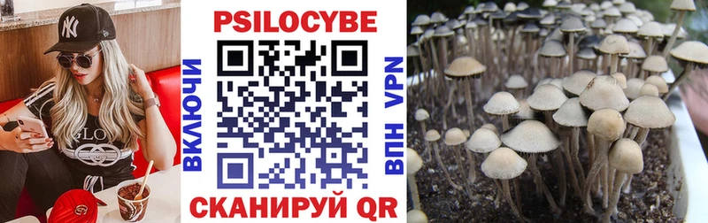 мориарти состав  Новороссийск  Галлюциногенные грибы GOLDEN TEACHER 